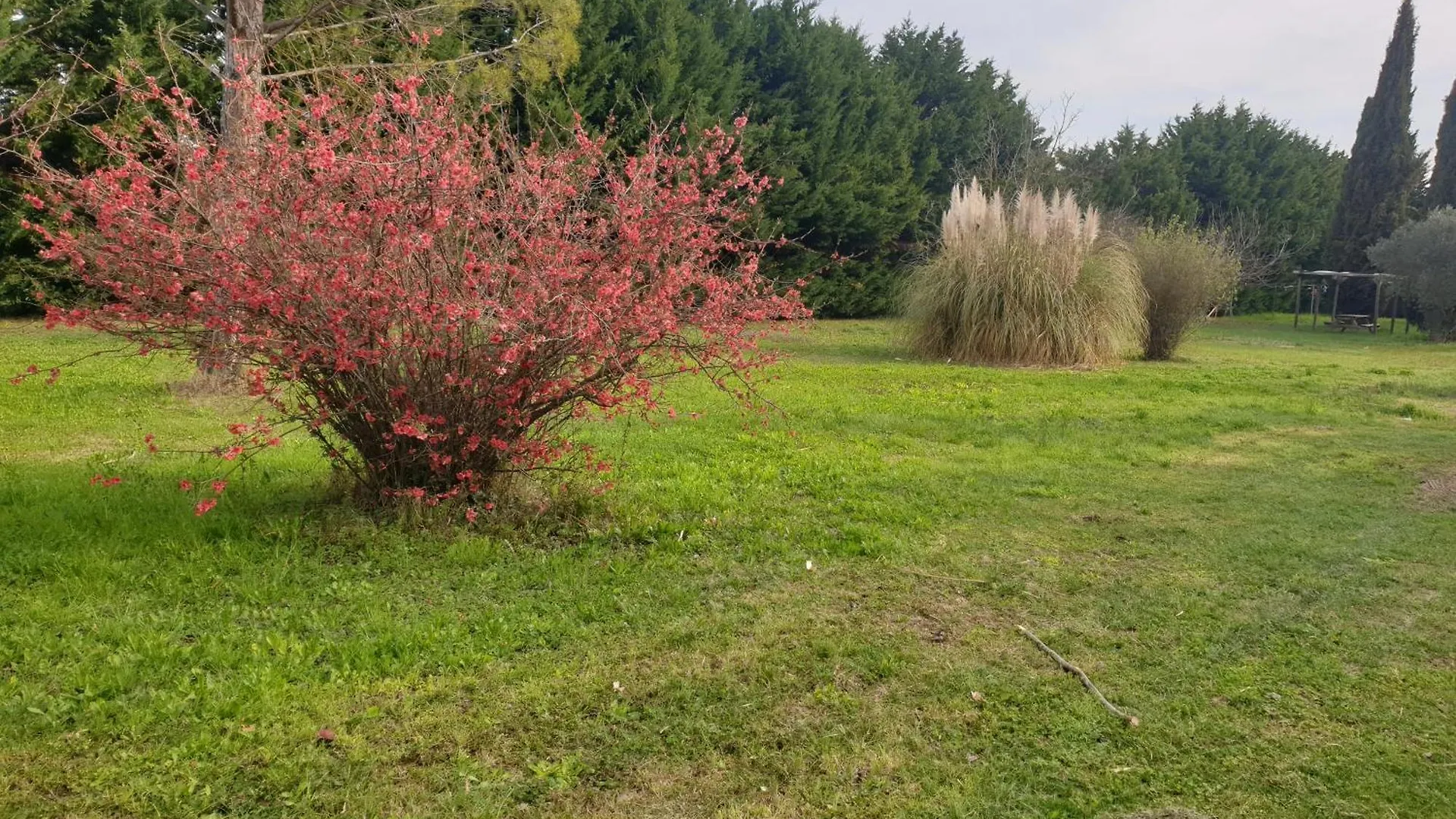Provence Mas De Caractere A Monteux Entre Avignon Luberon Mt Ventoux Villa Holiday home